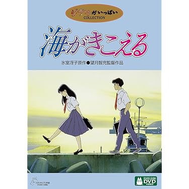 ・紅の豚 ・もののけ姫 ・魔女の宅急便 スタジオジブリ❤️海が聞こえるDVD 紅の豚 ・もののけ姫 ・魔女の宅急便 スタジオジブリ❤️海が